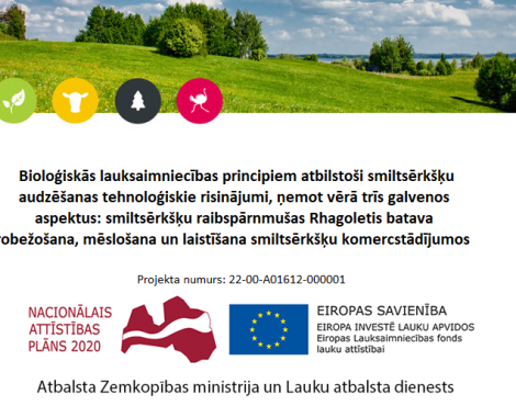 Bioloģiskās lauksaimniecības principiem atbilstoši smiltsērkšķu audzēšanas tehnoloģiskie risinājumi, ņemot vērā trīs galvenos aspektus: smiltsērkšķu raibspārnmušas Rhagoletis batava ierobežošana, mēslošana un laistīšana smiltsērkšķu komercstādījumos